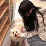 天道九歌游戏下载